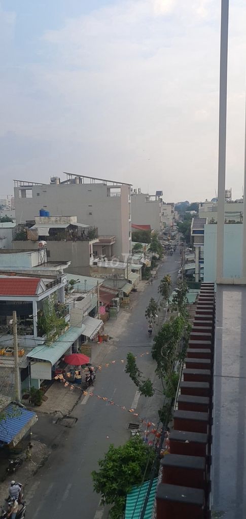 3936582 ảnh đại diện 1