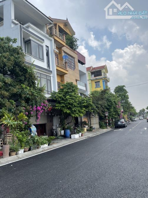 3934643 ảnh đại diện 1