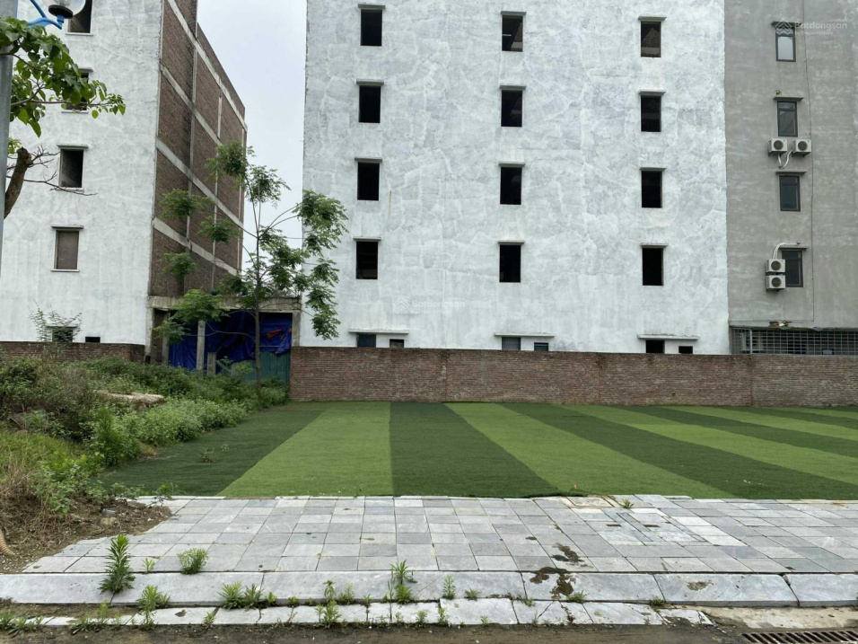 3937808 ảnh đại diện 1