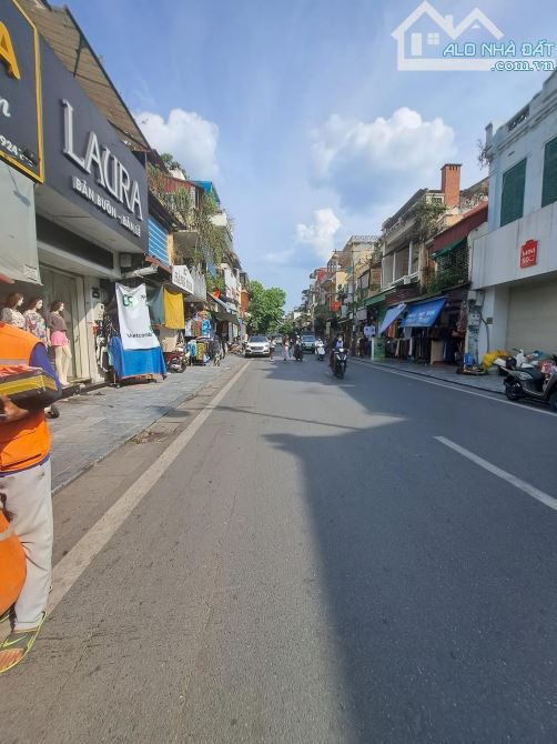 3934279 ảnh đại diện 1