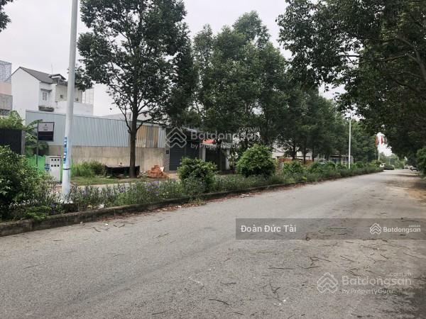 3937839 ảnh đại diện 1