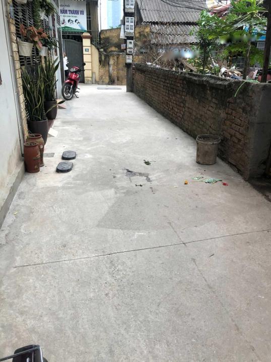 3937483 ảnh đại diện 1