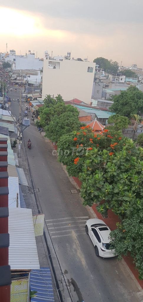 3936582 ảnh đại diện 2