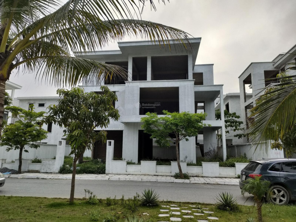 3937819 ảnh đại diện 2