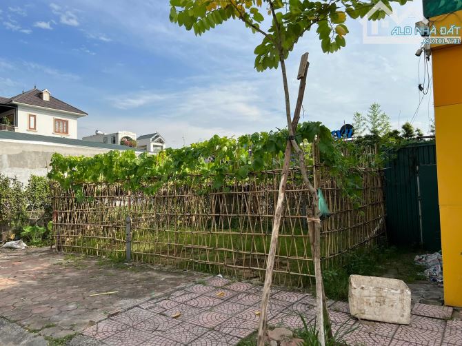 3934106 ảnh đại diện 1
