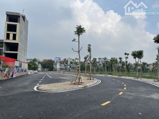 3934643 ảnh đại diện 1