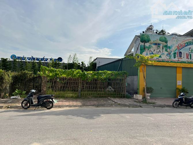 3934106 ảnh đại diện 1
