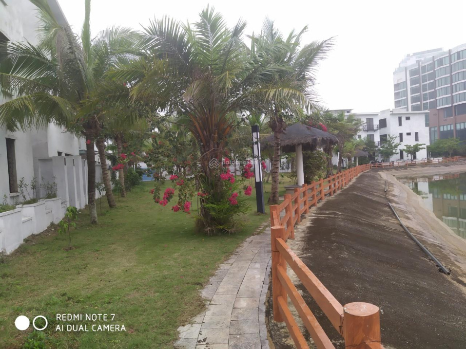 3937817 ảnh đại diện 2