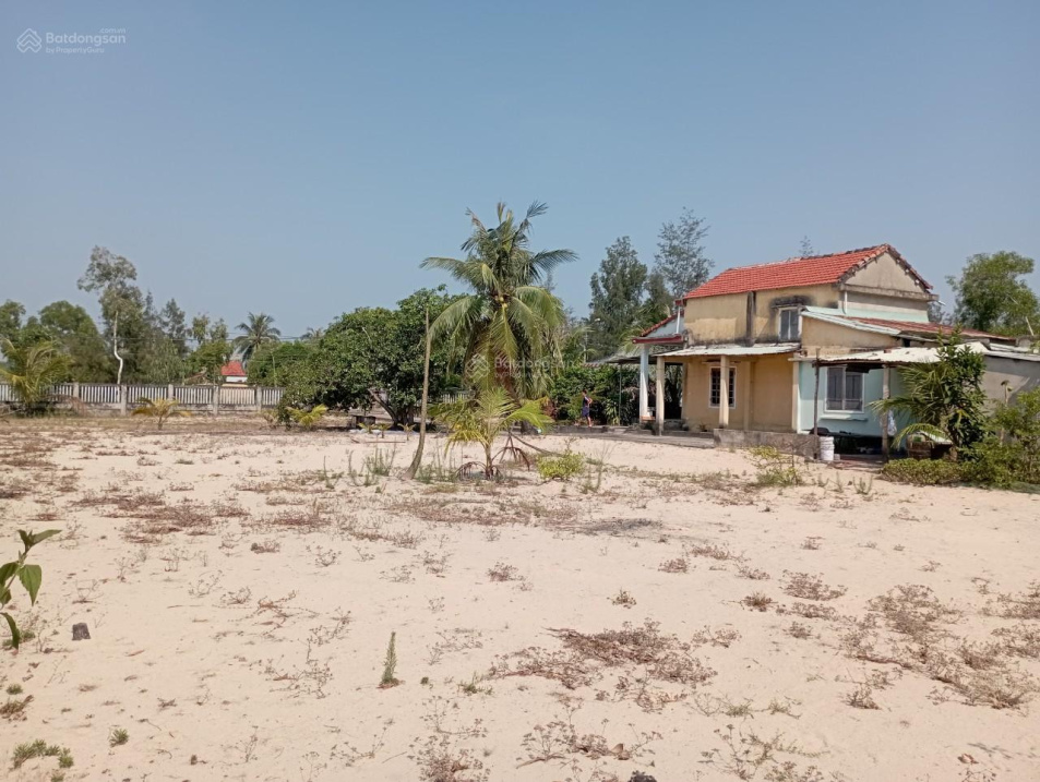 3941443 ảnh đại diện 2