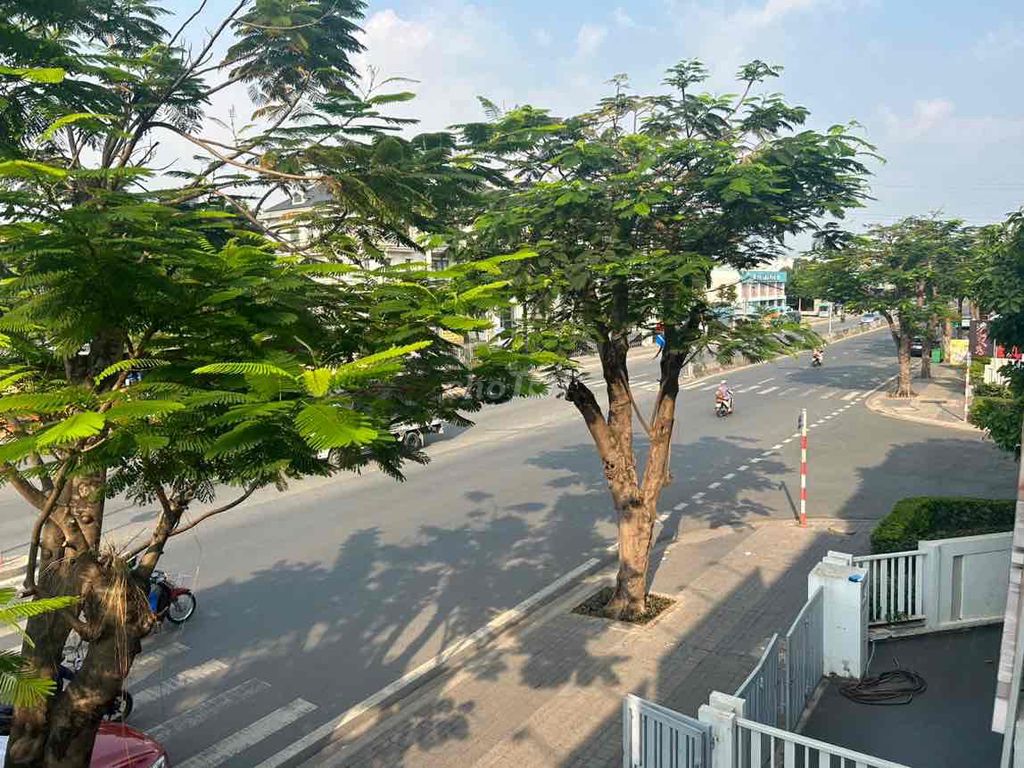 3939070 ảnh đại diện 1
