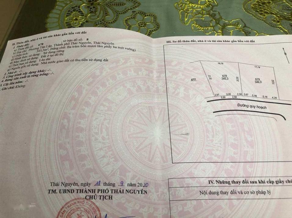 3939264 ảnh đại diện 2