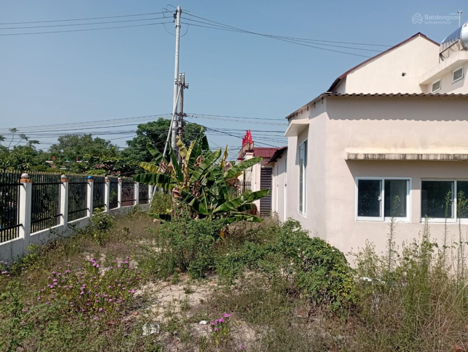 3941442 ảnh đại diện 2