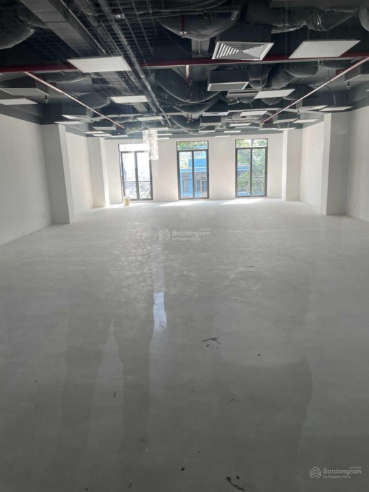 3940670 ảnh đại diện 2