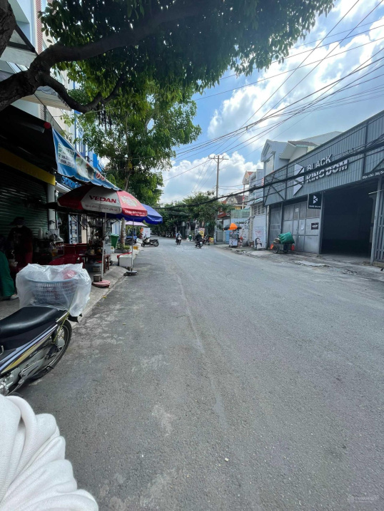 3940683 ảnh đại diện 1