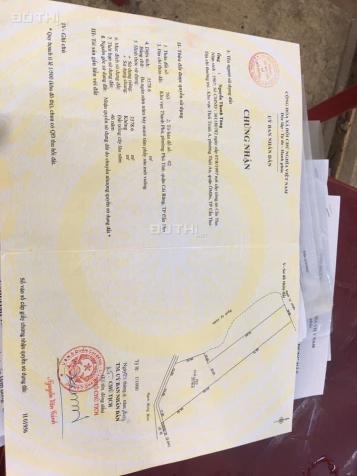 3938832 ảnh đại diện 1