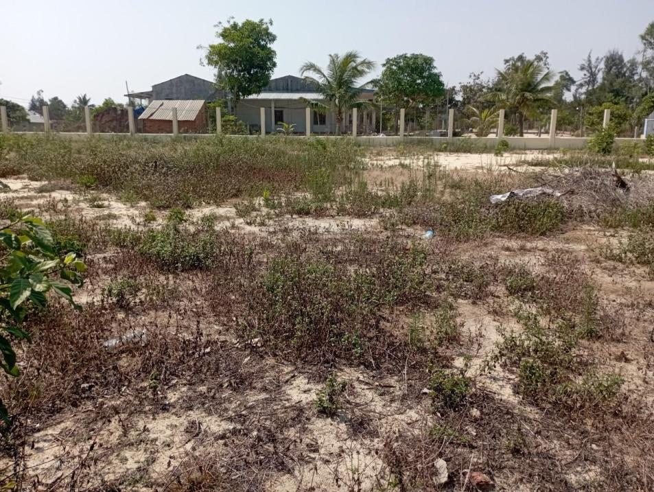 3941441 ảnh đại diện 2