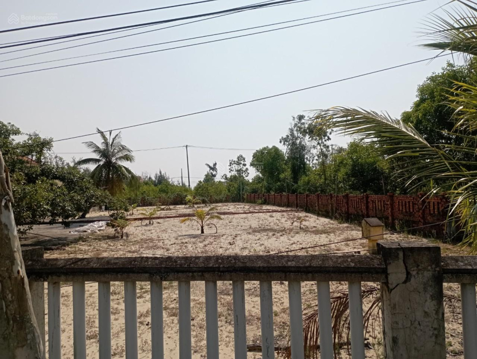 3941443 ảnh đại diện 1