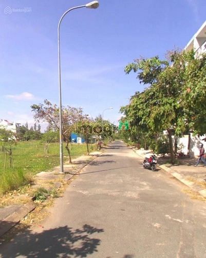 3940219 ảnh đại diện 1