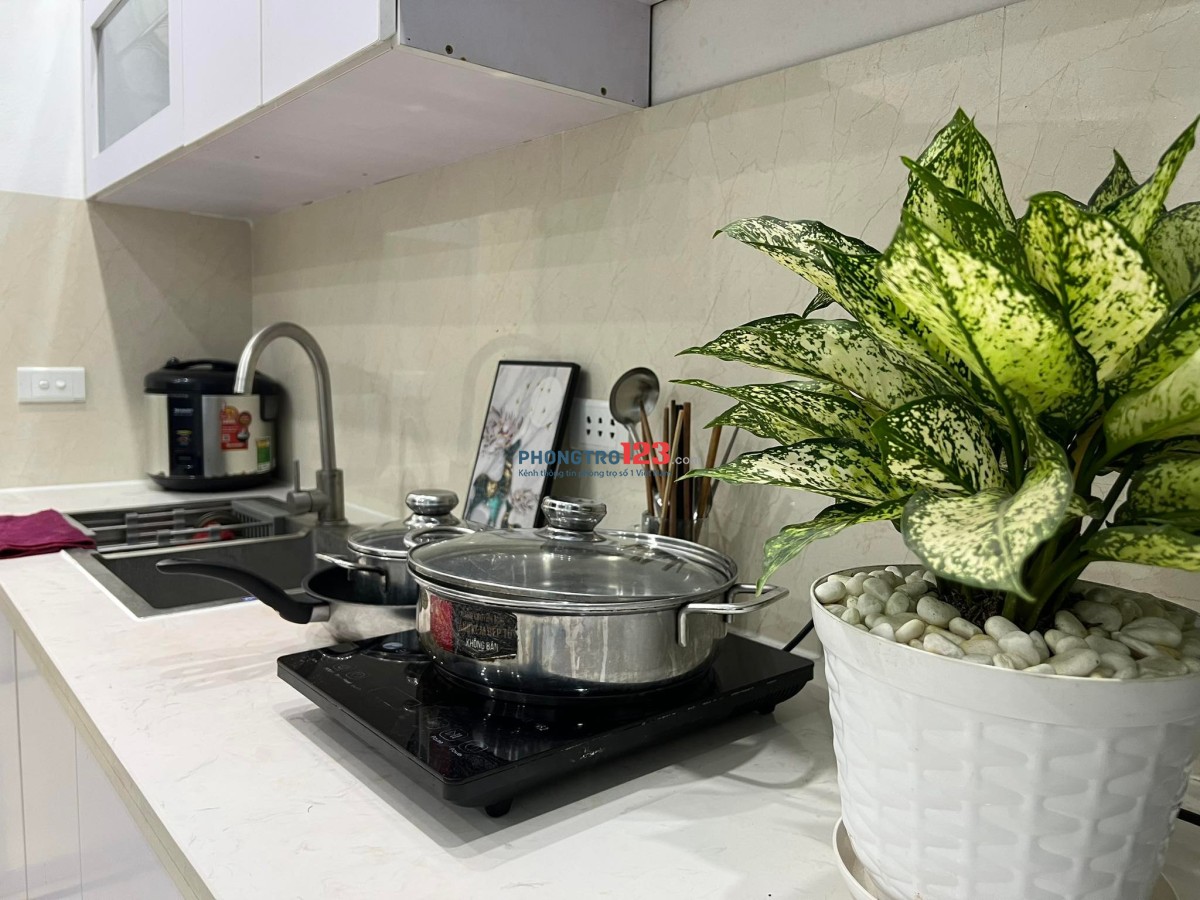 3940329 ảnh đại diện 1