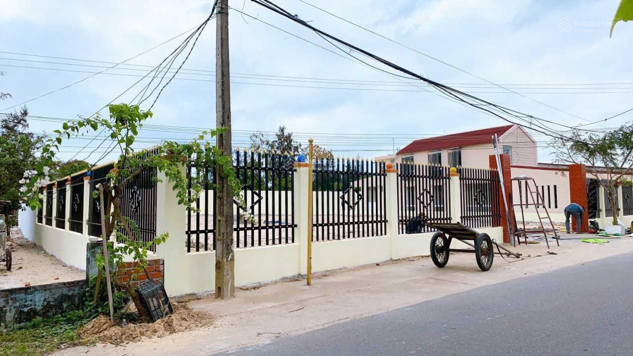 3941442 ảnh đại diện 1