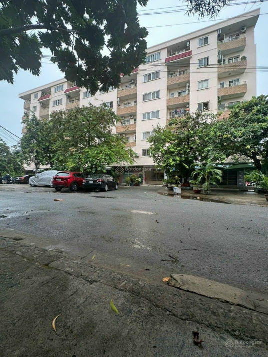 3941080 ảnh đại diện 2