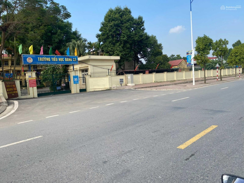 3939455 ảnh đại diện 1