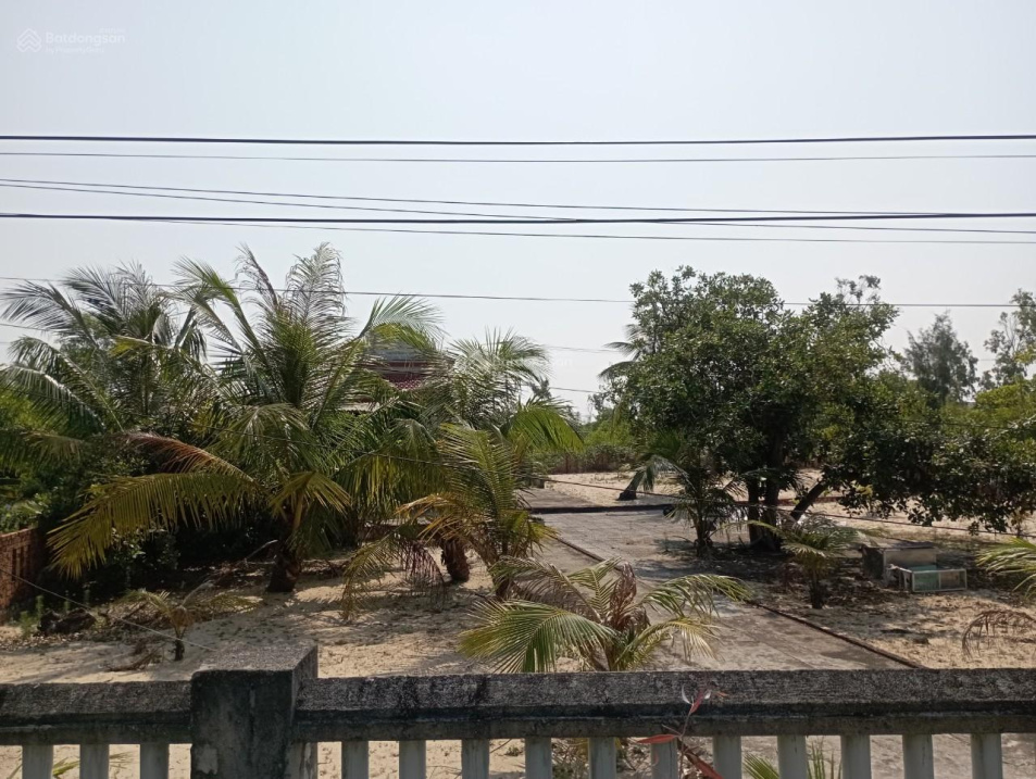 3941443 ảnh đại diện 1