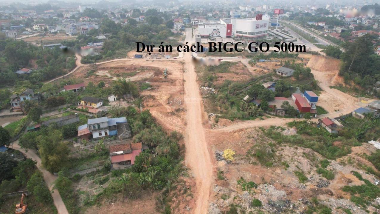 3939264 ảnh đại diện 1