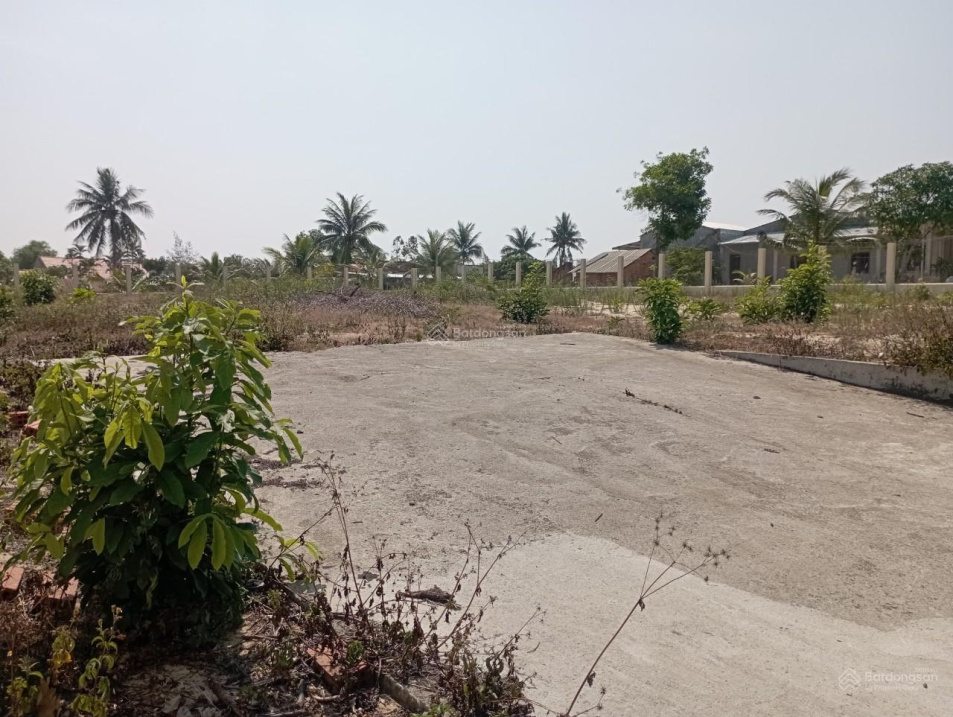 3941441 ảnh đại diện 1