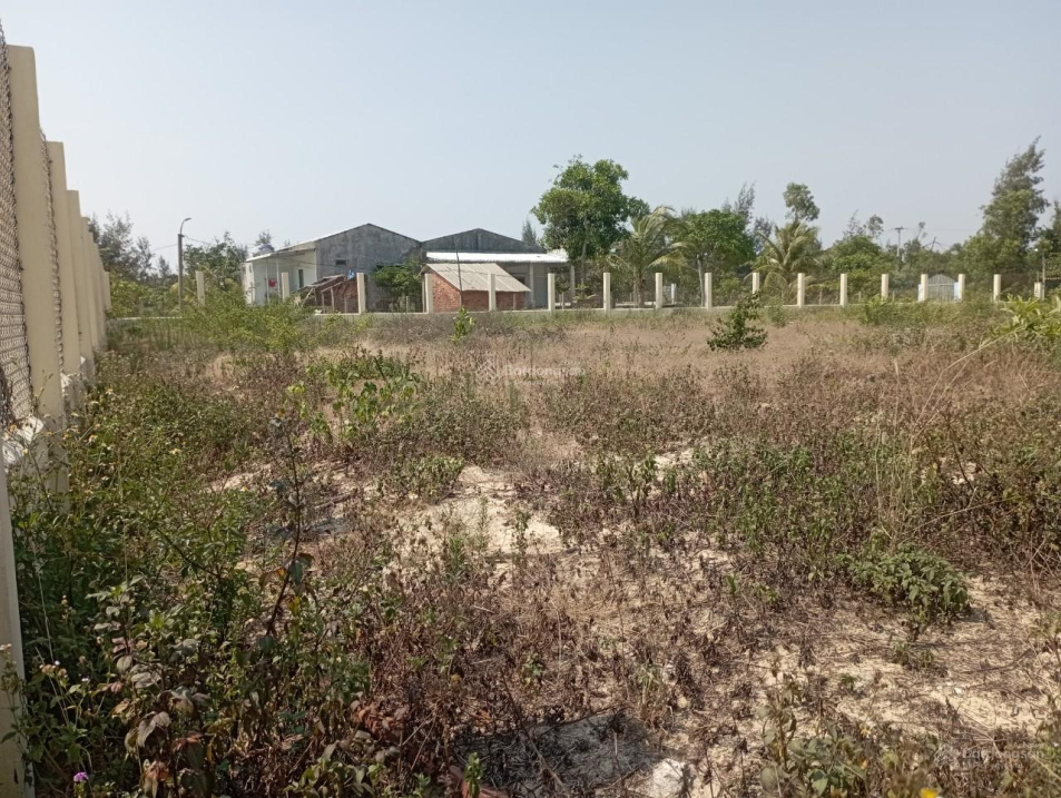 3941441 ảnh đại diện 1