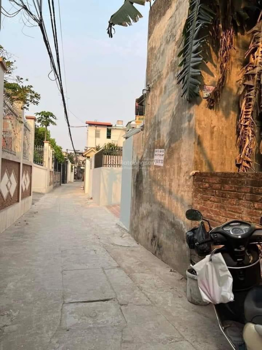 3939455 ảnh đại diện 1