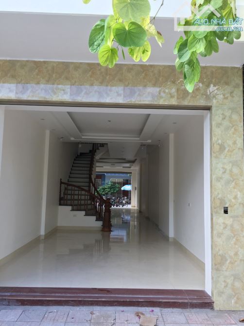 3942701 ảnh đại diện 1