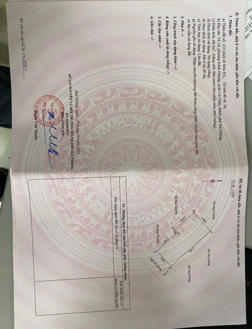 3945949 ảnh đại diện 1