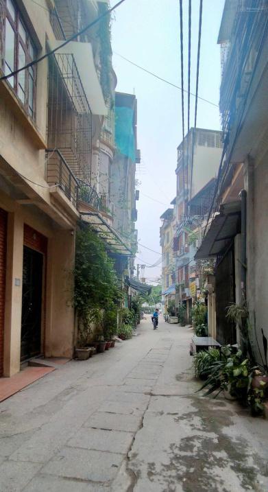 3949609 ảnh đại diện 1