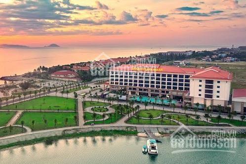3950388 ảnh đại diện 1
