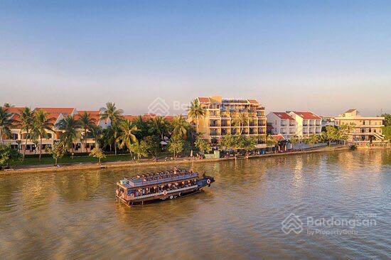 3950388 ảnh đại diện 1