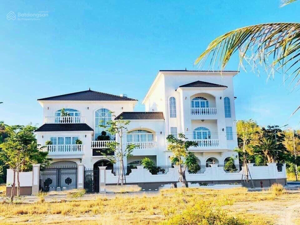 3949184 ảnh đại diện 1