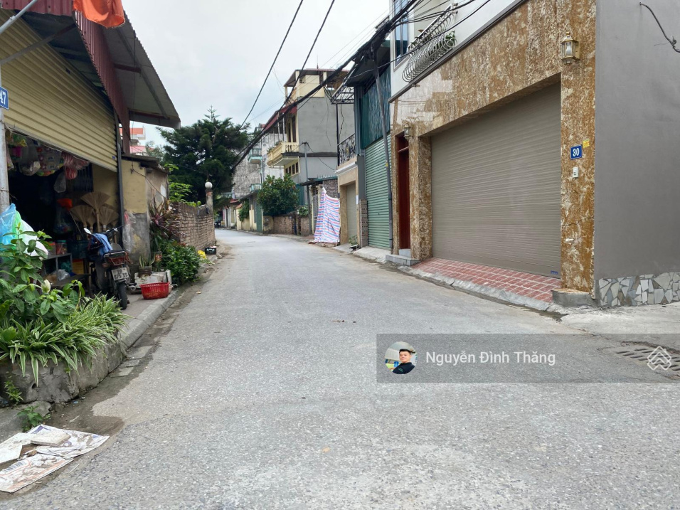 3950763 ảnh đại diện 1