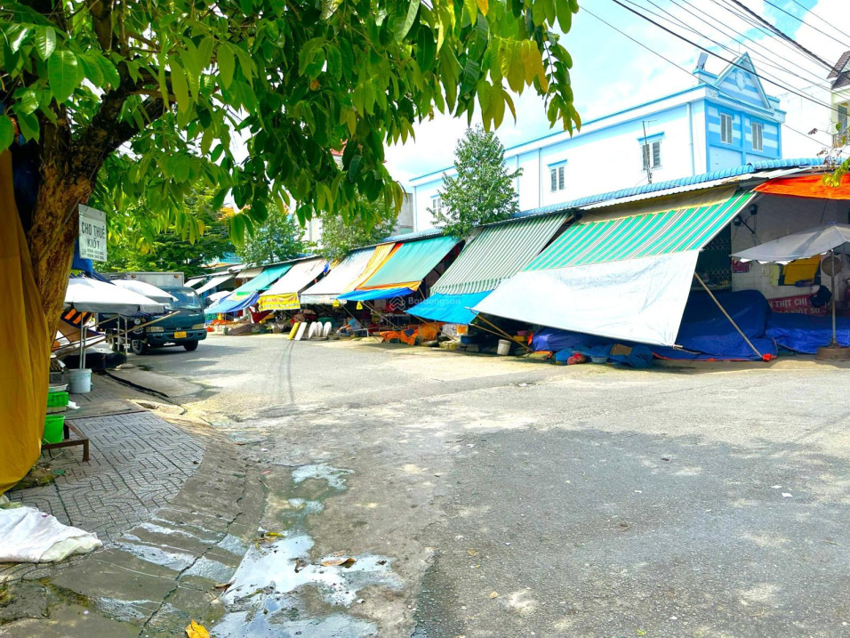 3945834 ảnh đại diện 2