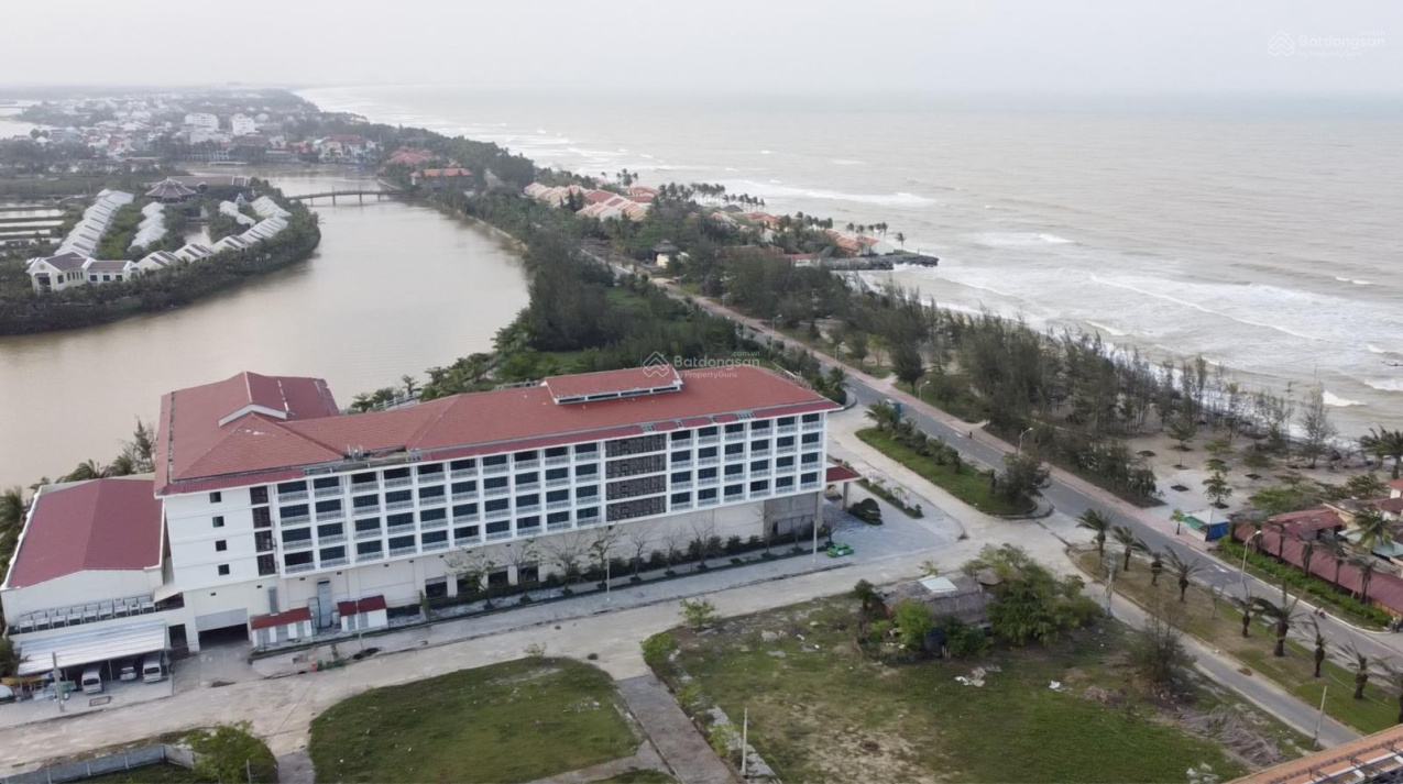 3950390 ảnh đại diện 1