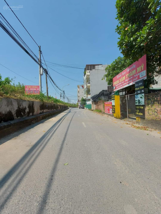 3950770 ảnh đại diện 1