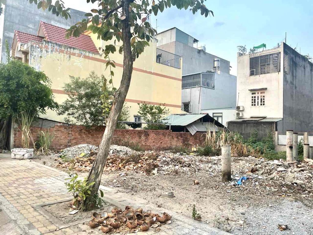 3950271 ảnh đại diện 1