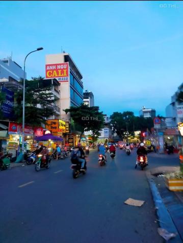 3946215 ảnh đại diện 1