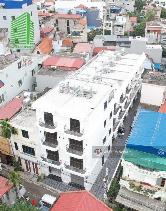 3948356 ảnh đại diện 2