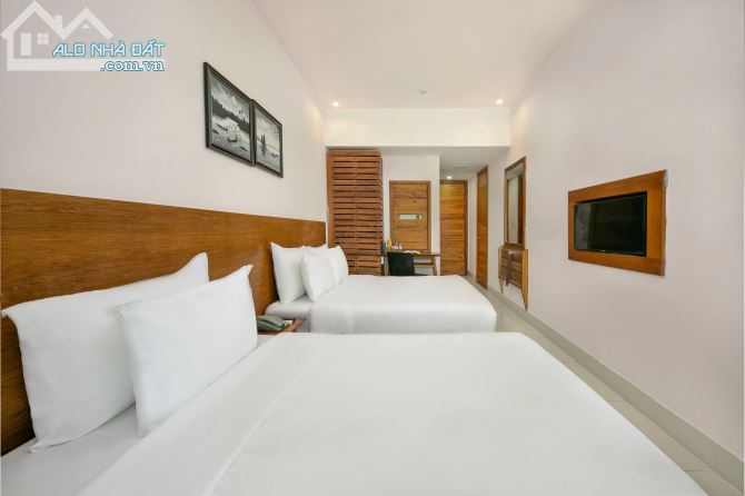 3944513 ảnh đại diện 1