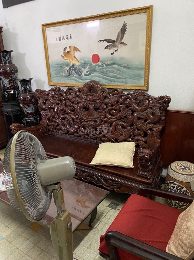 3950043 ảnh đại diện 1