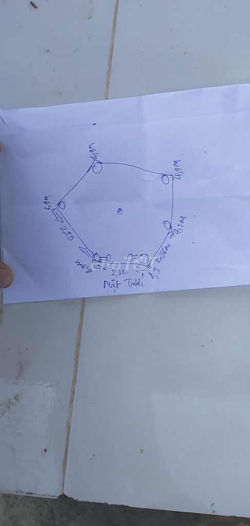 3950280 ảnh đại diện 2