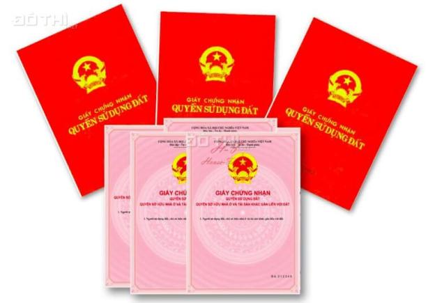 3946198 ảnh đại diện 1