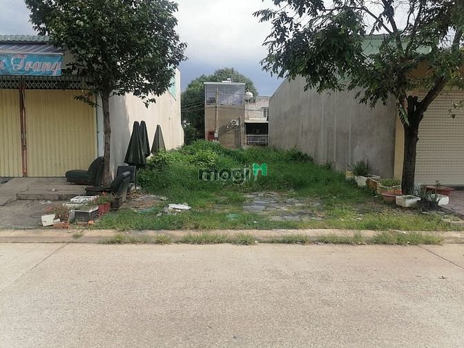 3950412 ảnh đại diện 1