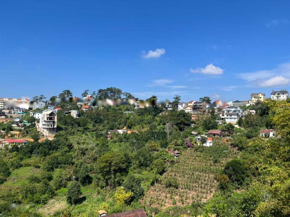 3945926 ảnh đại diện 1